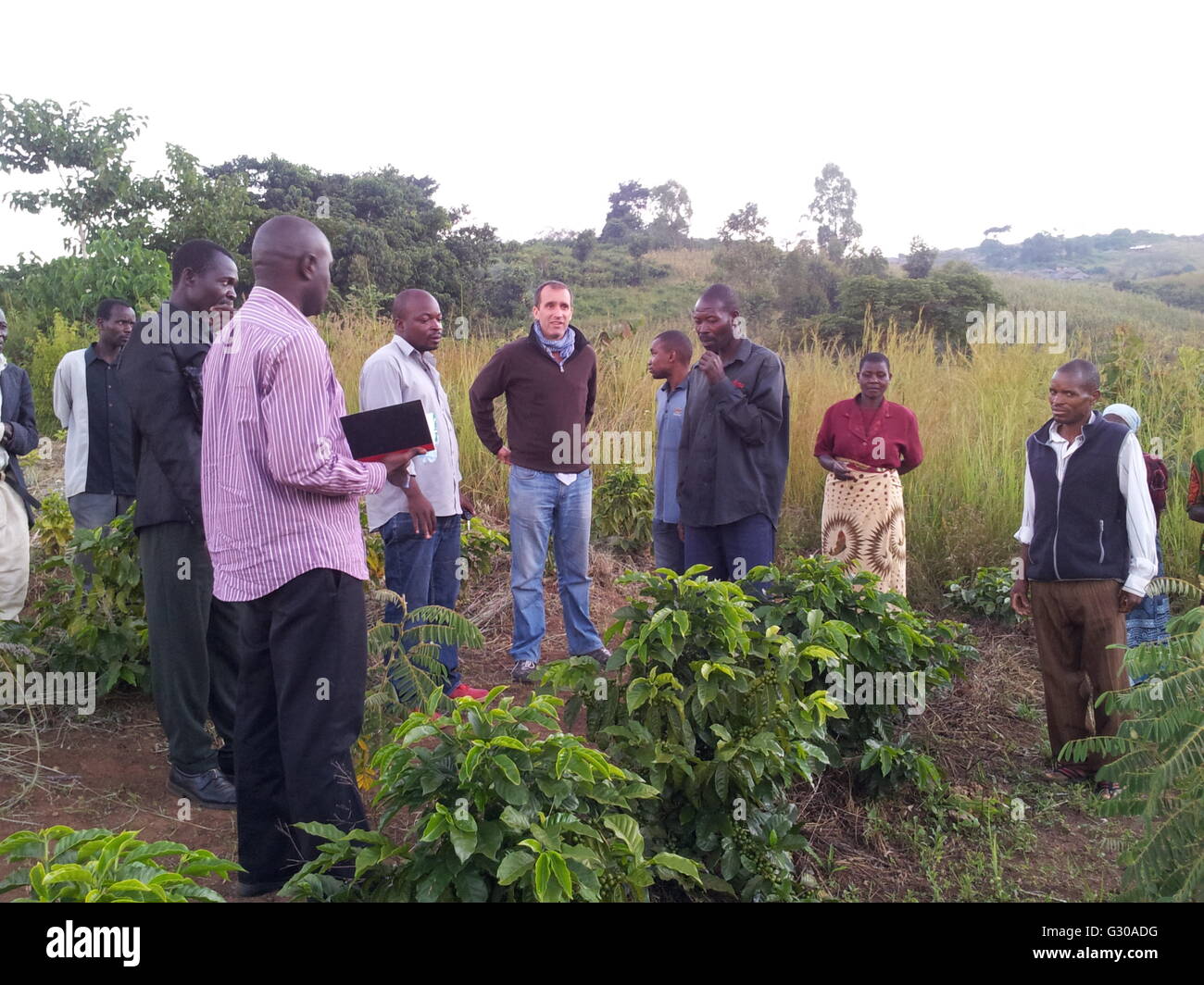 Chole Co-operative fields, Malawi, Africa Stock Photo