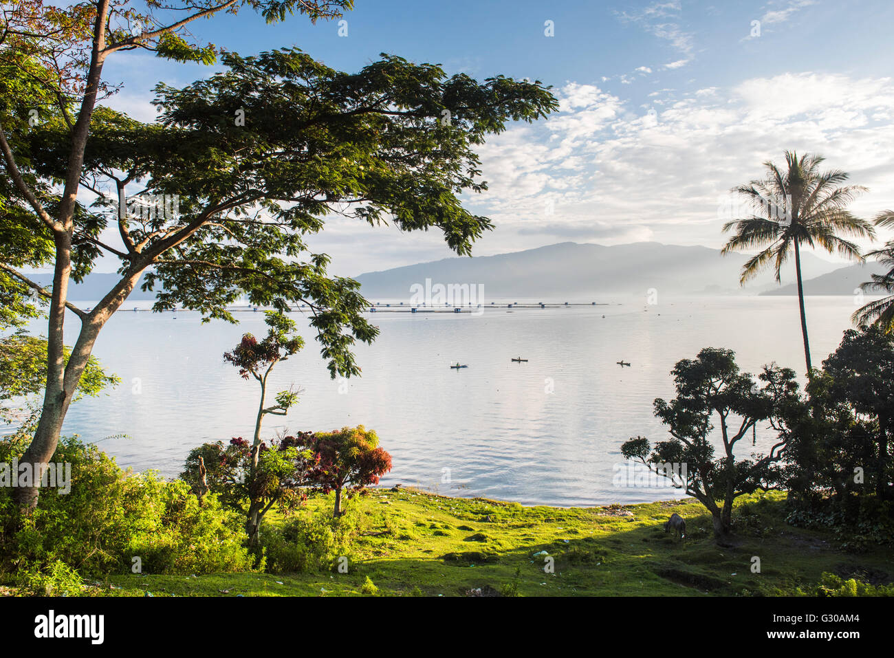 Lake Toba (Danau Toba) and fishing boats at sunrise, North Sumatra, Indonesia, Southeast Asia, Asia Stock Photo