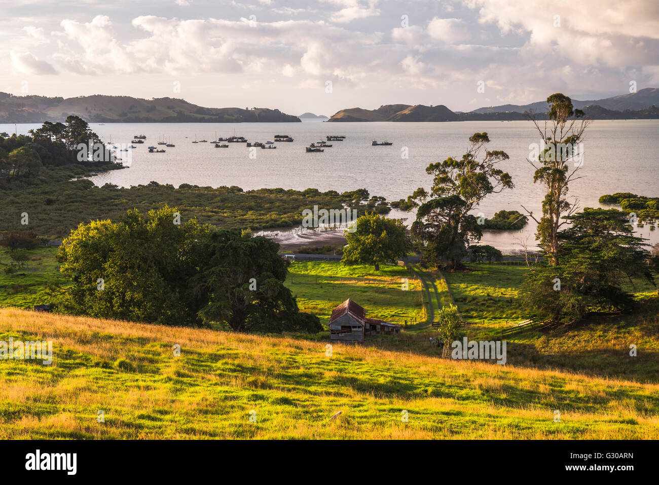Countryside at Coromandel Town, Coromandel Peninsula, North Island, New