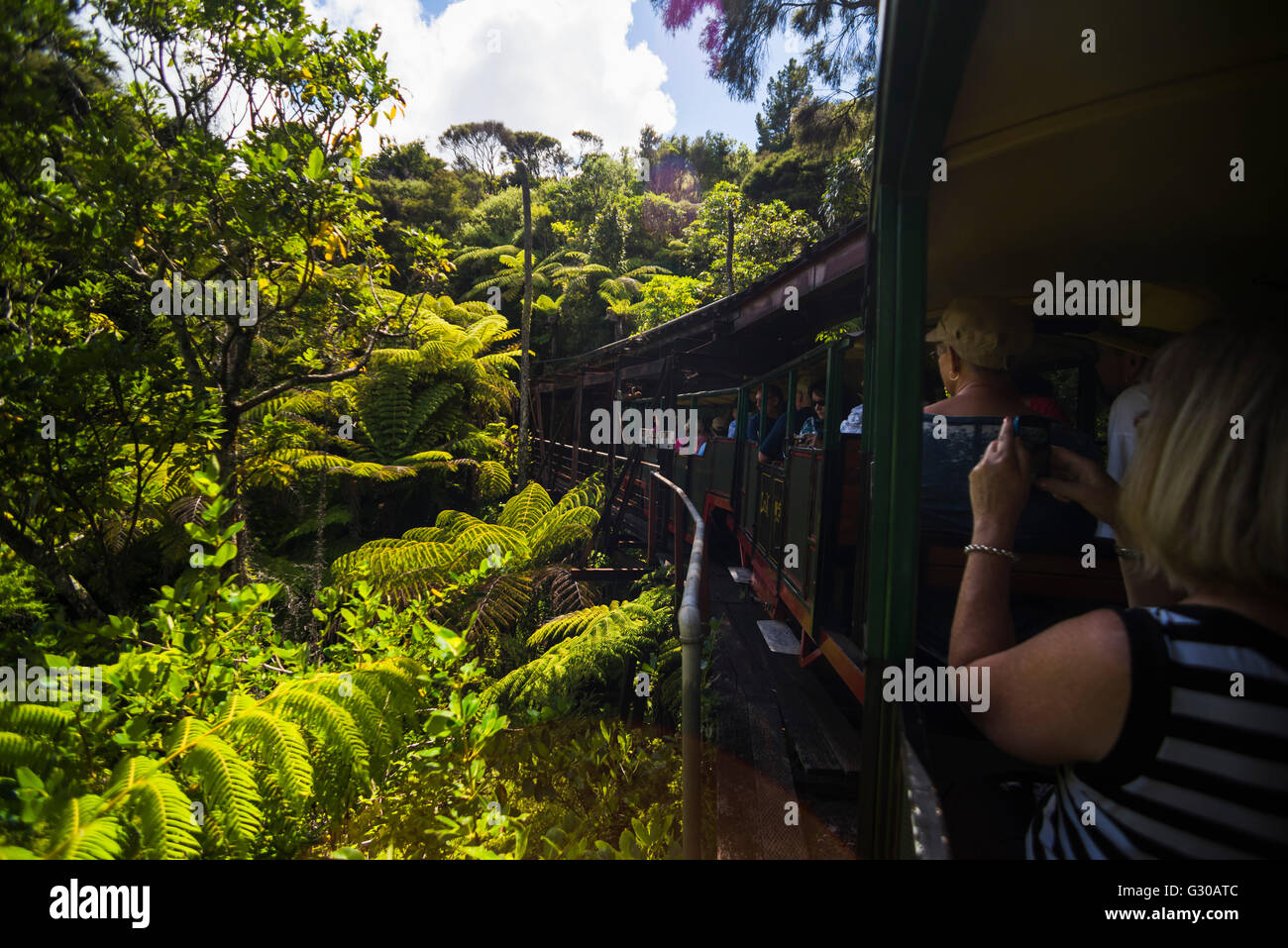 Driving Creek Railway, Coromandel Town, Coromandel Peninsula, North Island, New Zealand, Pacific Stock Photo
