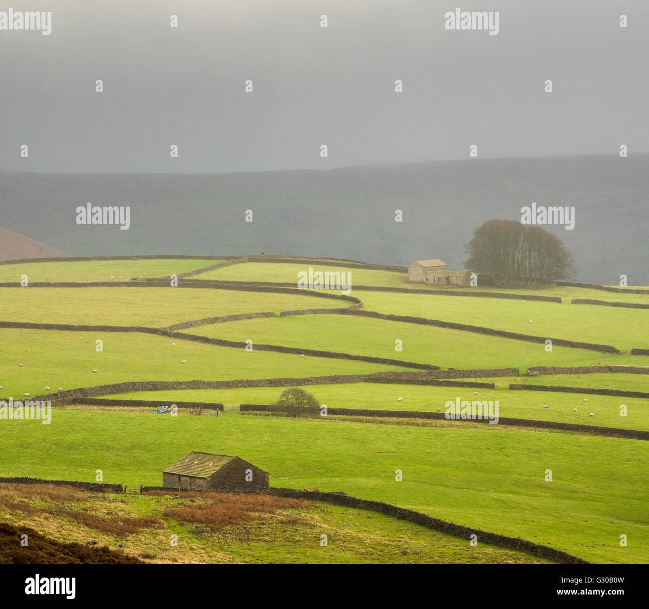 Mist above bolton abbey hires stock photography and images Alamy