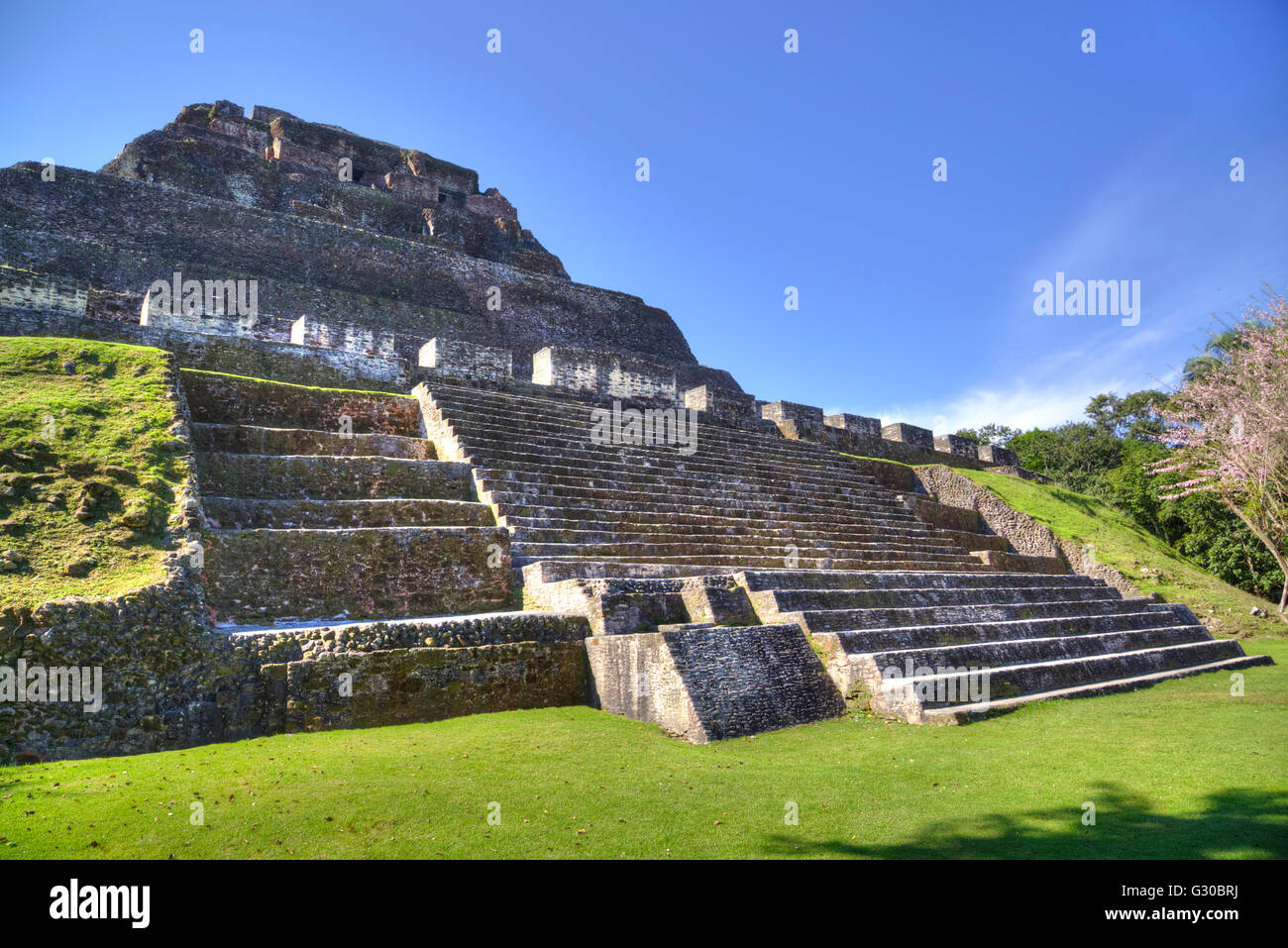 Castillo, Xunantunich Mayan Ruins, near San Ignacio, Belize, Central America Stock Photo Alamy