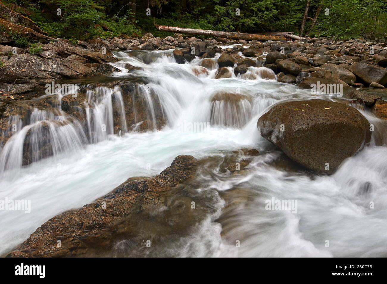 Cascades on Deception Creek, Mount Baker-Snoqualmie National Forest, Washington, United States of America, North America Stock Photo