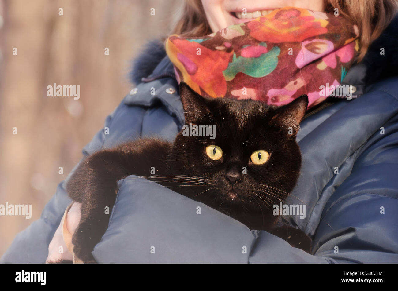 Woman keeps black cat on her hands Stock Photo