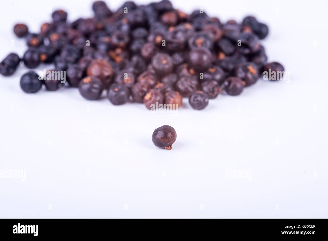 photo showing the fruits of juniper on a white background Stock Photo