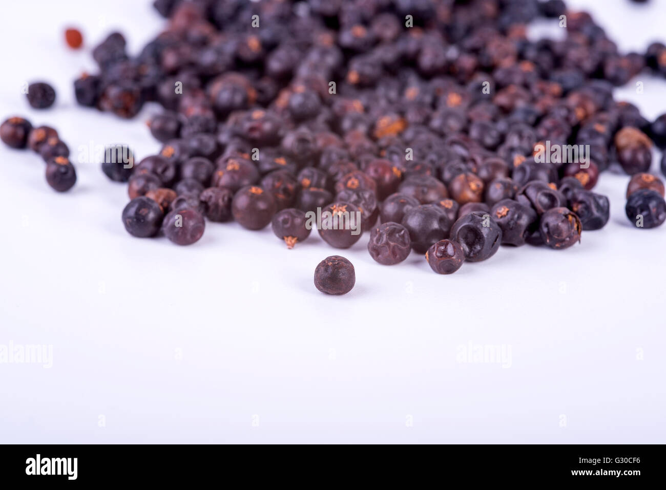 photo showing the fruits of juniper on a white background Stock Photo