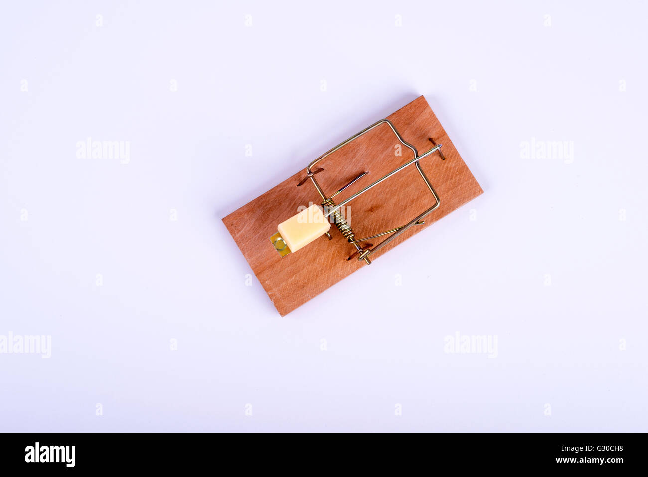 Photo of mouse trap on white background Stock Photo