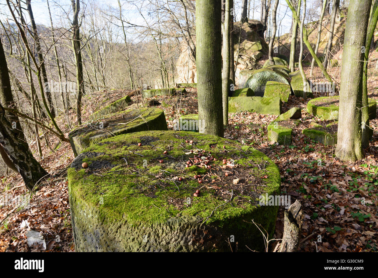 former quarry Wehlen : hewn sandstones, Germany, Sachsen, Saxony , Stadt Wehlen Stock Photo