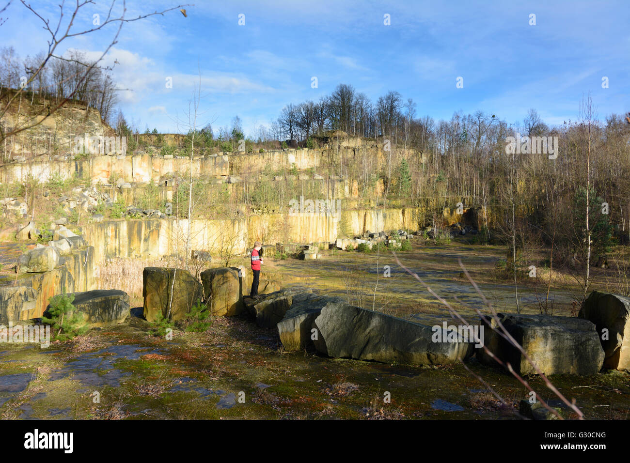 former quarry Wehlen sandstone walls, Germany, Sachsen, Saxony , Stadt Wehlen Stock Photo