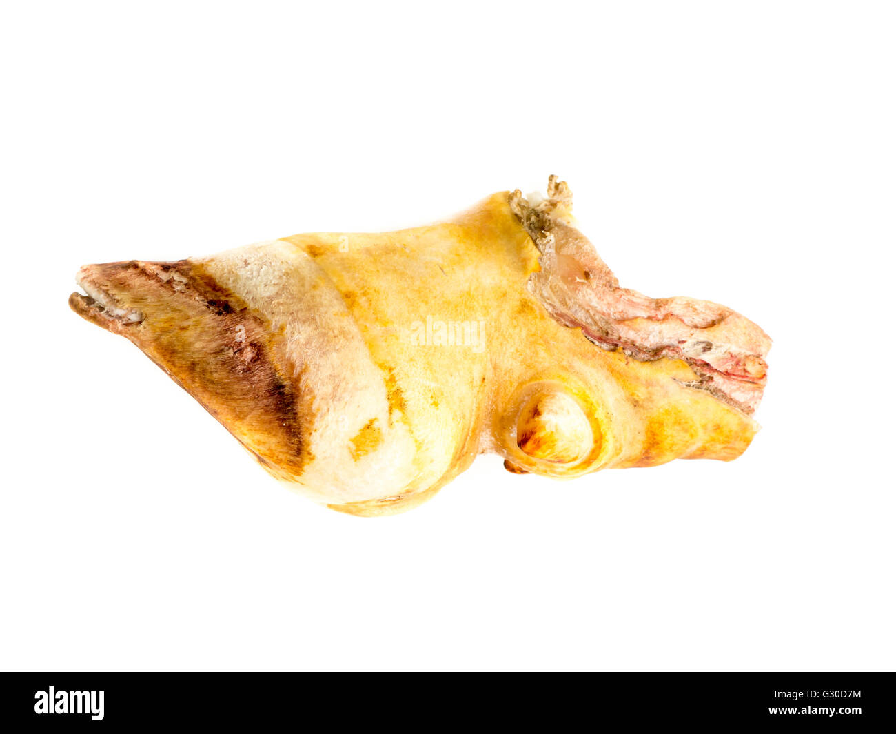 Are Beef Hooves Bad For Dogs