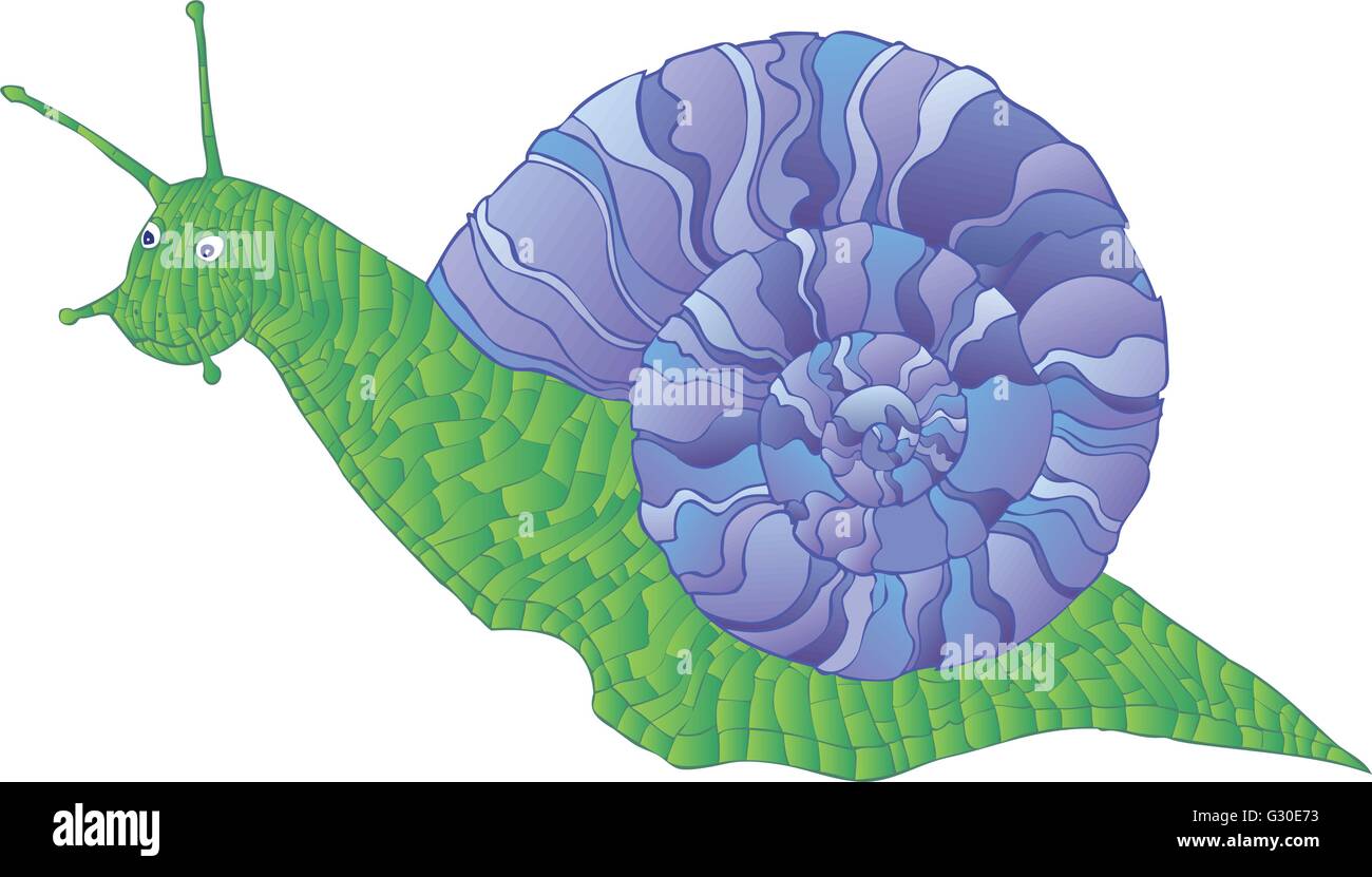 Snail isolated on white background Stock Vector Image & Art - Alamy