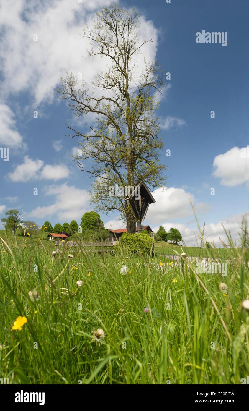 Wayside cross front of an old tree surrounded by blooming meadows in front of a farm in sunlight, Bavaria, Germany Stock Photo