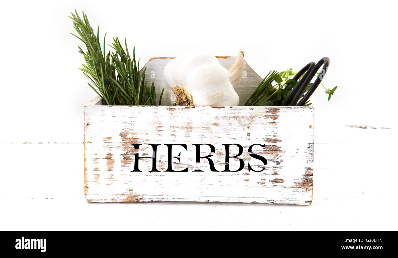 Fresh cut garden herbs (rosemary, thyme, parsley, Garlic) in white
