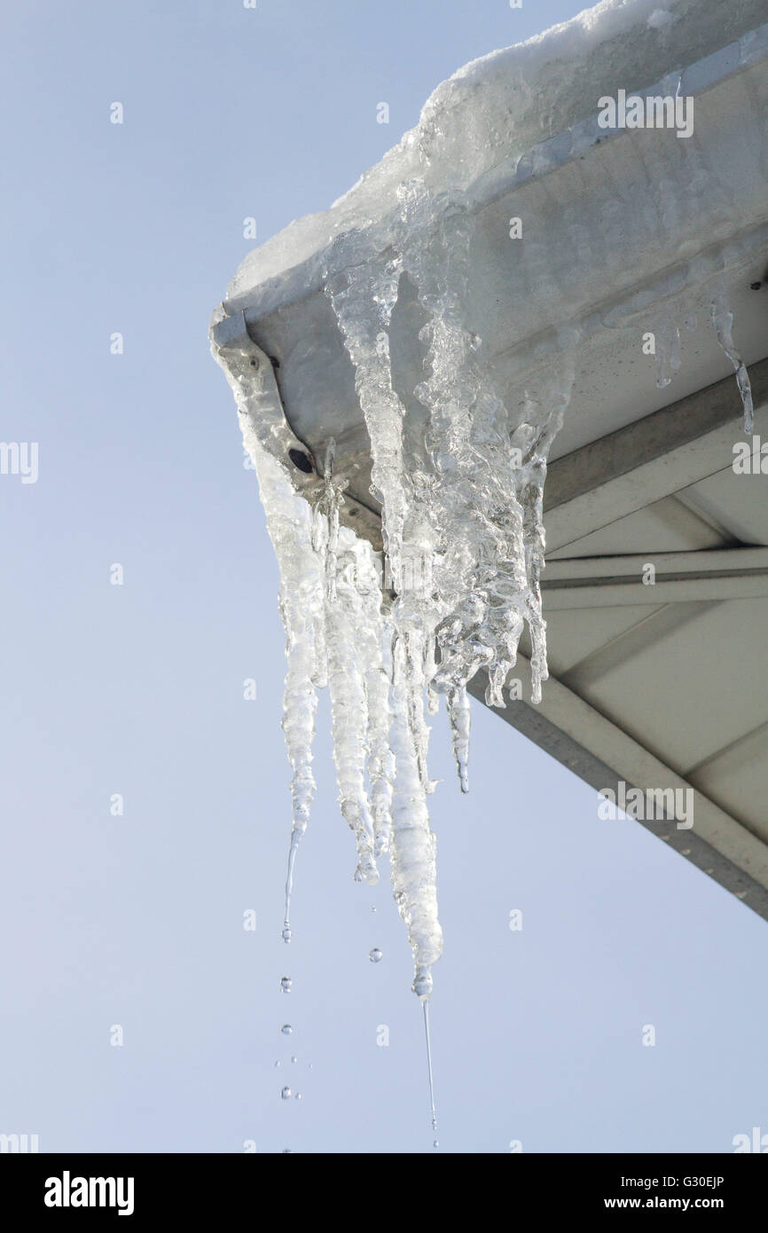 Icicles Hanging Down From The Corner Of A Roof With An Ice Dam In The Stock Photo Alamy