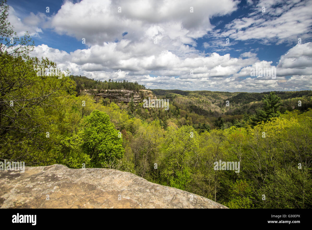 Kentucky Scenic Panorama. Scenic mountain overlook of Lovers Leap from a hiking trail in Natural Bridge State Park. Stock Photo