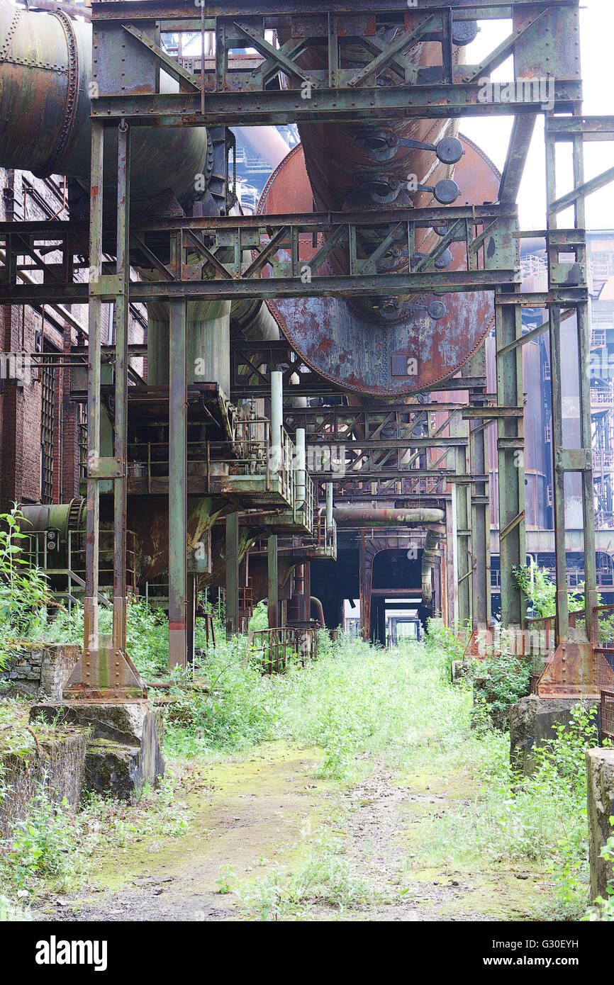 Nature takes over an alleyway. Stock Photo