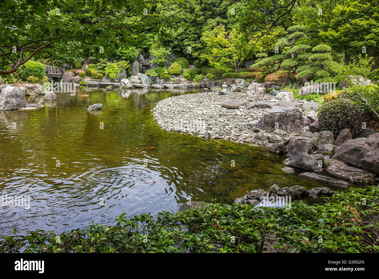 Koi Pond at Hanahata Garden - Hanahata Garden is a community Japanese garden in Adachi-ku Tokyo. Stock Photo