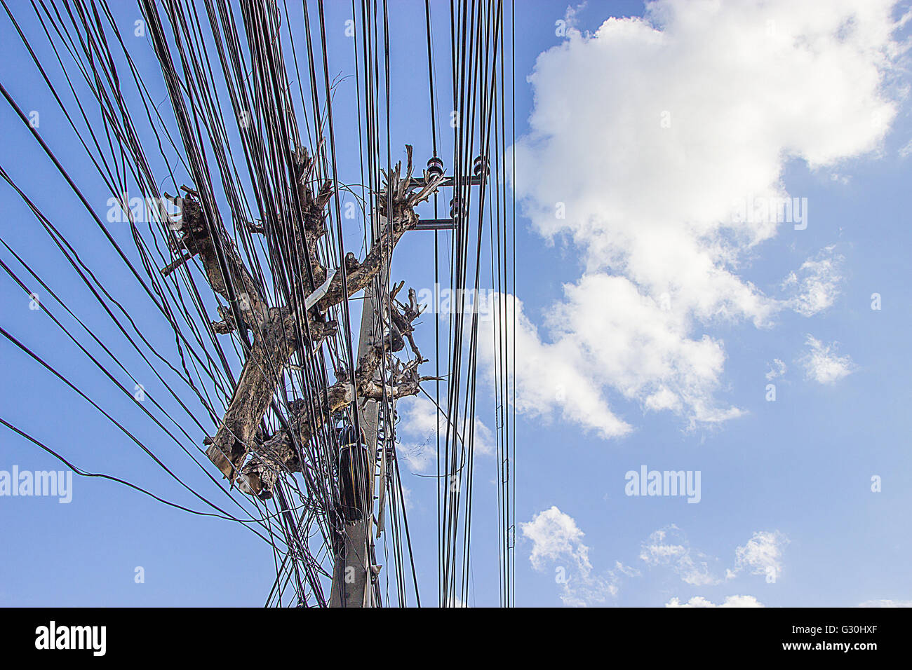 Timber on the power cable Stock Photo
