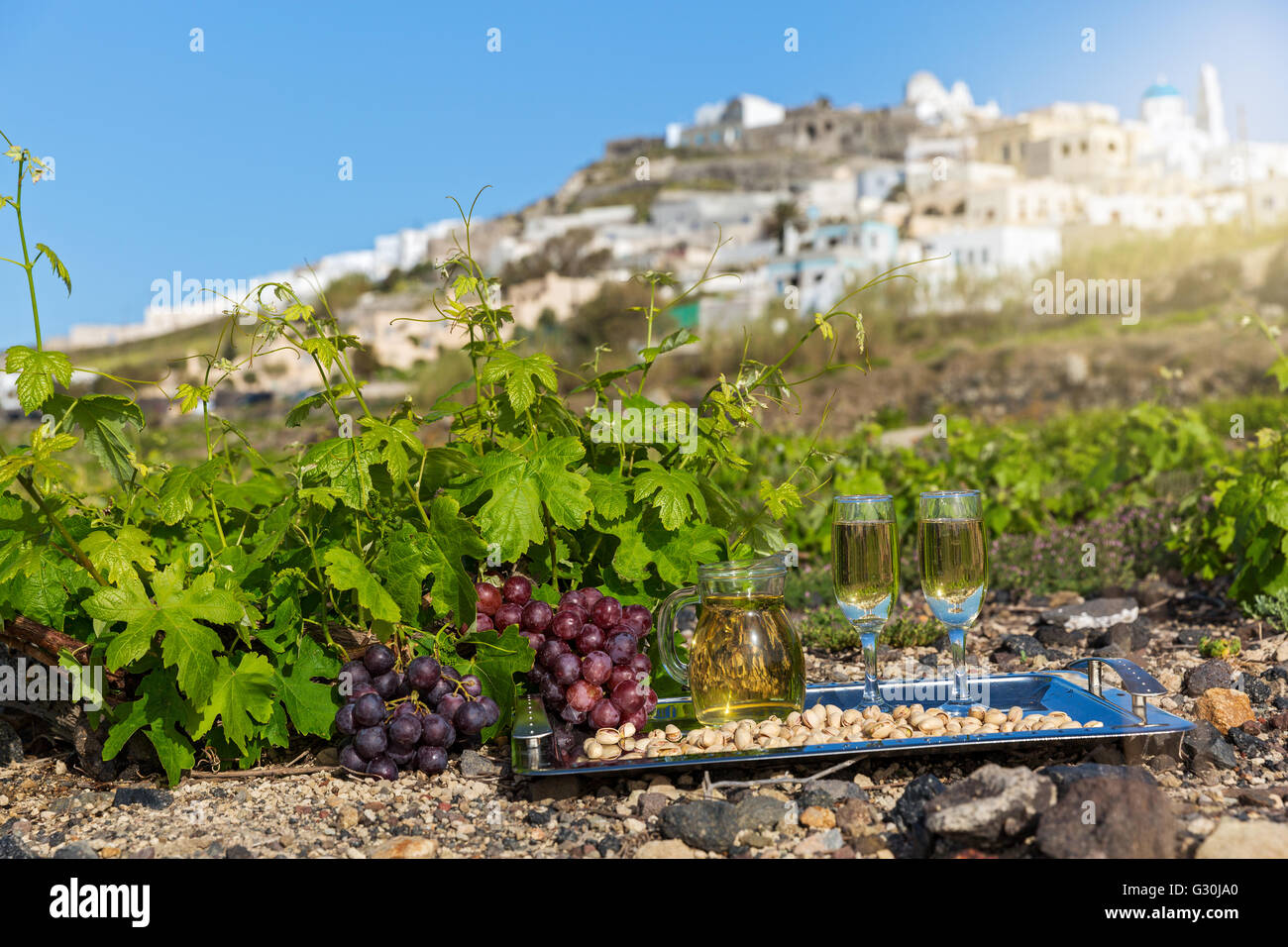 Wine and pistachio nuts in the vineyard Stock Photo Alamy