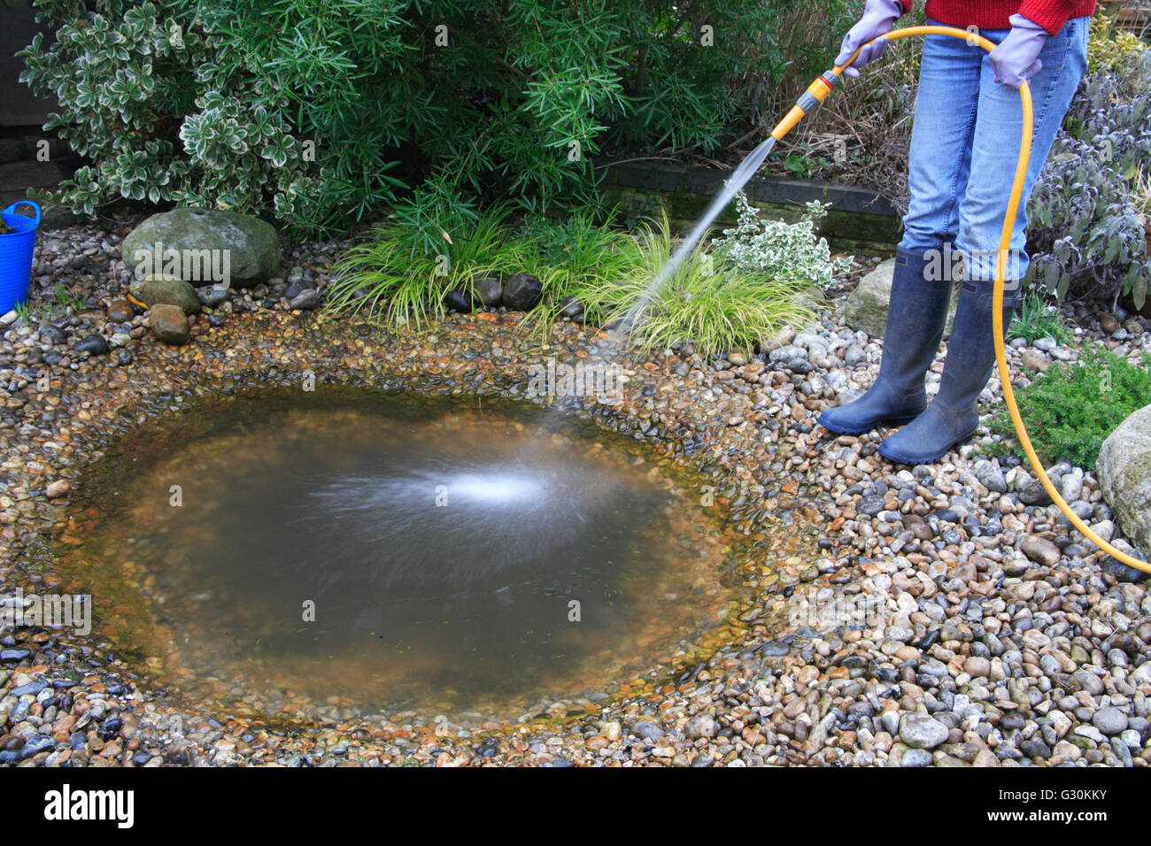 Person filling garden pond with water from hose Stock Photo Alamy