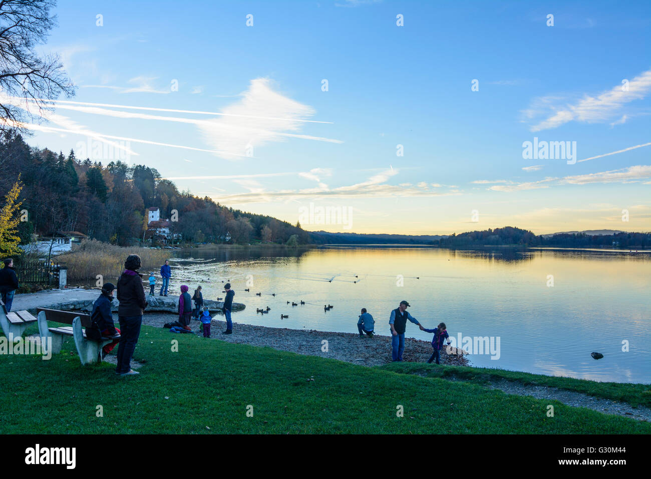 Staffelsee at sunset with ducks and paddlers, Germany, Bayern, Bavaria, Oberbayern, Upper Bavaria, Murnau am Staffelsee Stock Photo