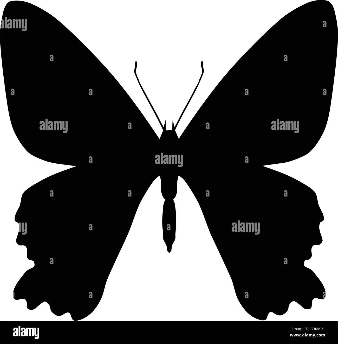 Silhouette of butterfly isolated on white Stock Vector Image & Art - Alamy