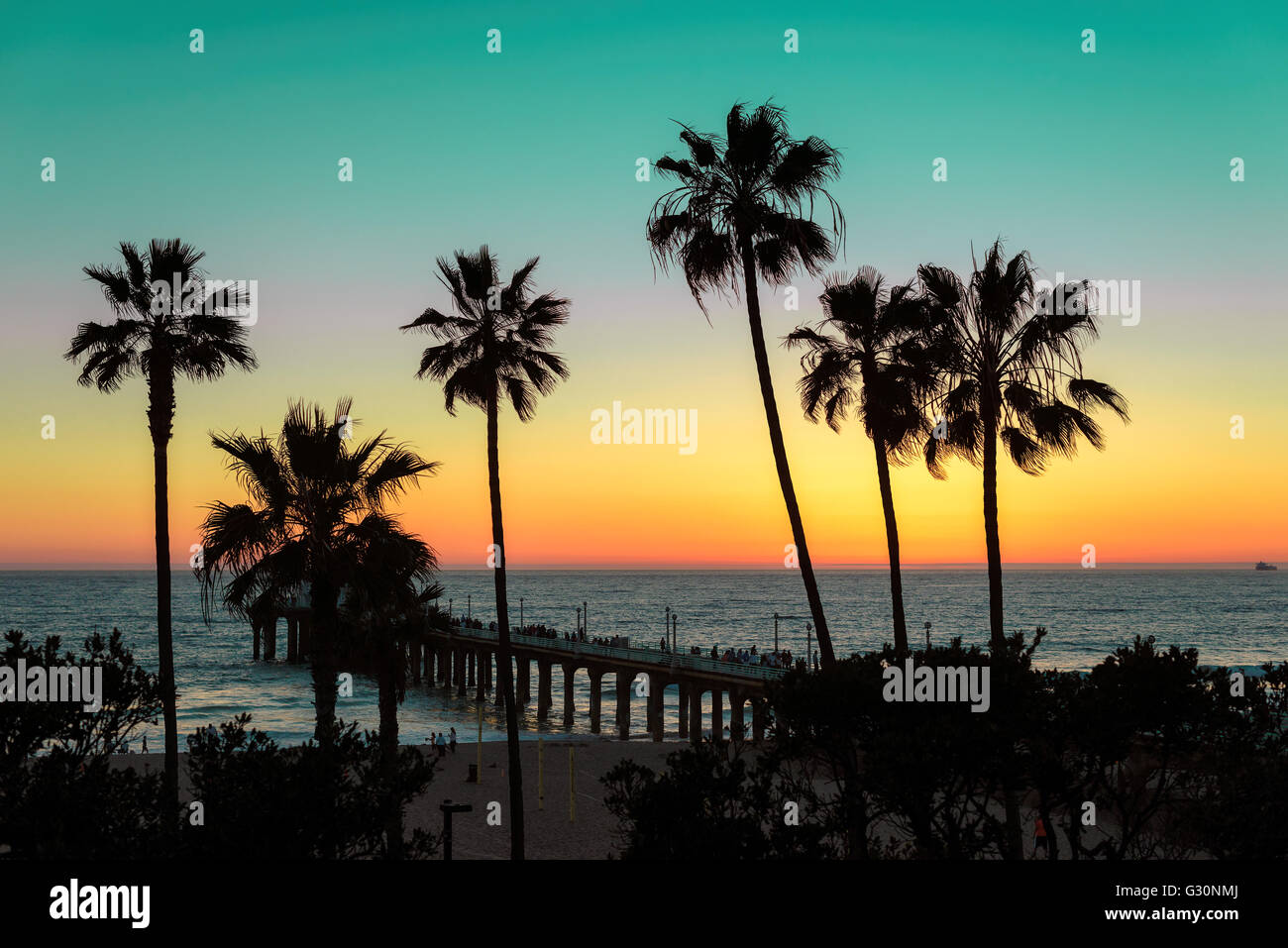 Palm trees over the Manhattan Beach and Pier on sunset in Los Angeles. Stock Photo