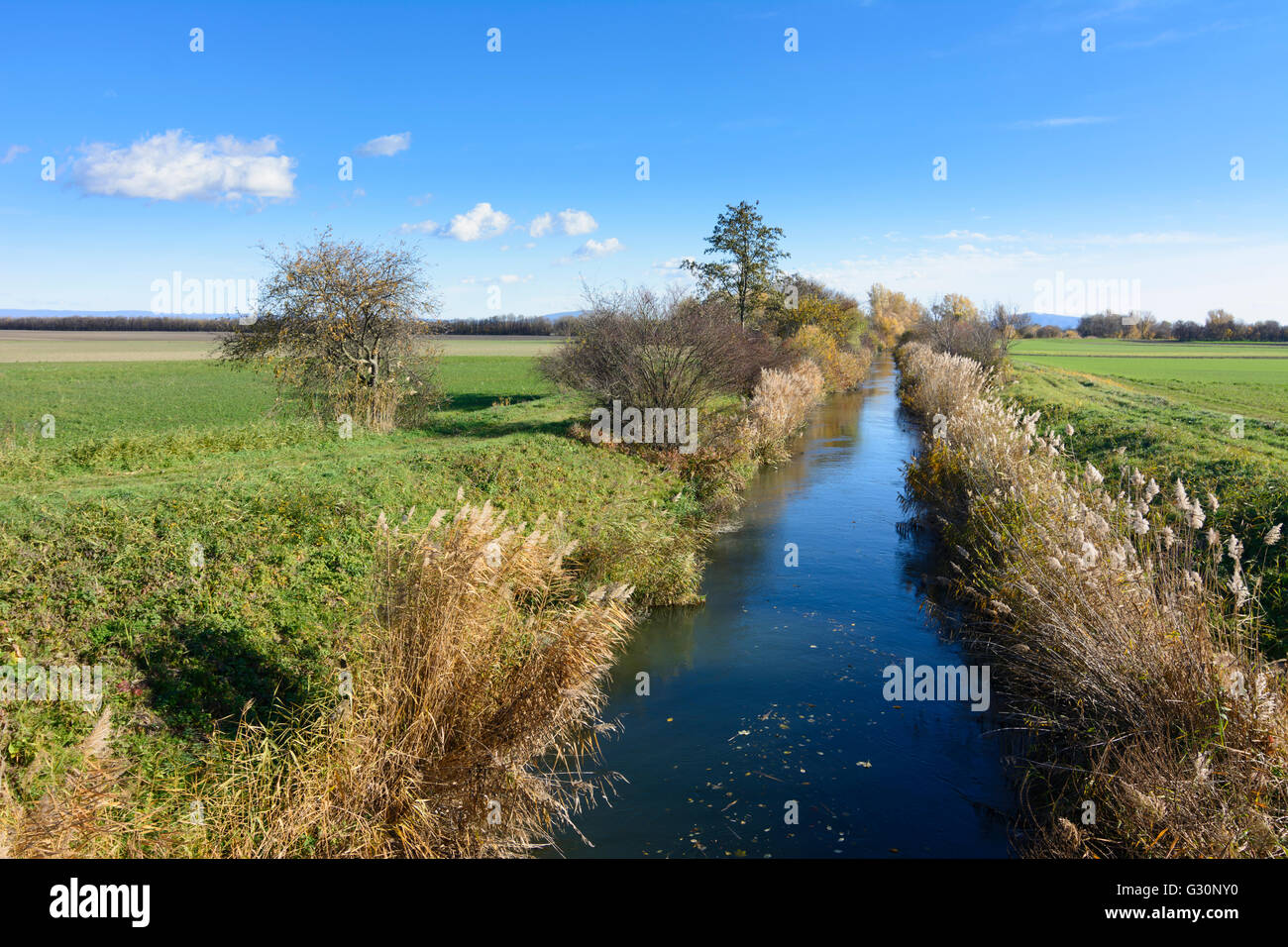 creek Rußbach in Marchfeld, Austria, Niederösterreich, Lower Austria, Donau, Haringsee Stock Photo