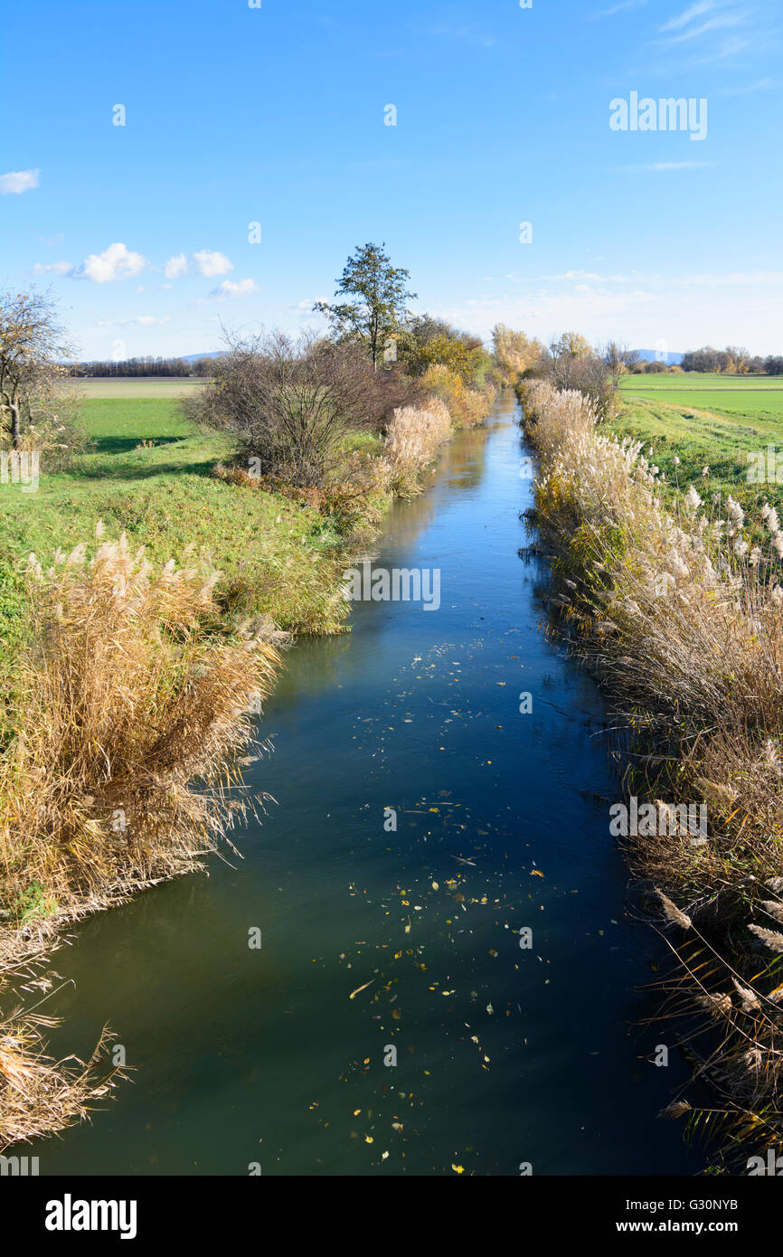 creek Rußbach in Marchfeld, Austria, Niederösterreich, Lower Austria, Donau, Haringsee Stock Photo