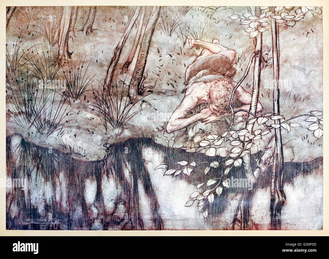 “Siegfried sees himself in the stream” from 'Siegfried & The Twilight of the Gods' illustrated by Arthur Rackham (1867-1939). See description for more information. Stock Photo
