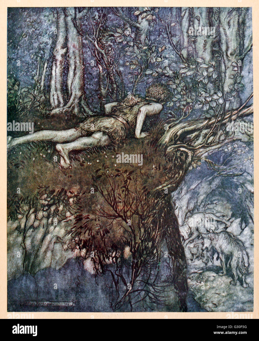 “And there I learnt what love was like” from 'Siegfried & The Twilight of the Gods' illustrated by Arthur Rackham (1867-1939). See description for more information. Stock Photo