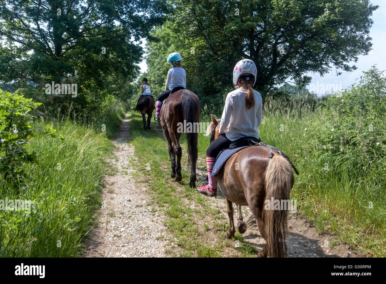 Horseback riding summer landscape Stock Photo