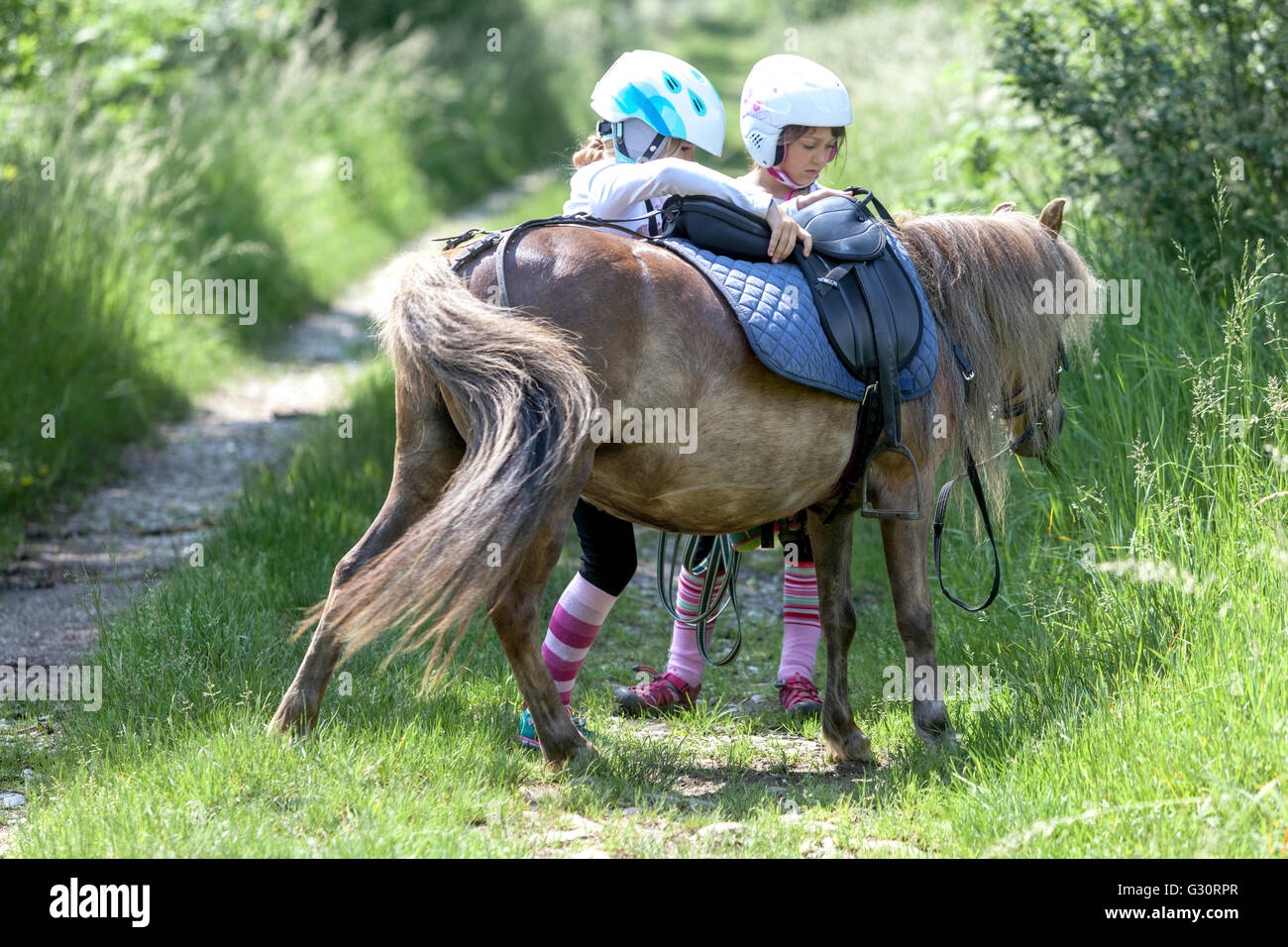 Two girls 6-7 years old with a pony on the road in nature, Child pony Stock Photo