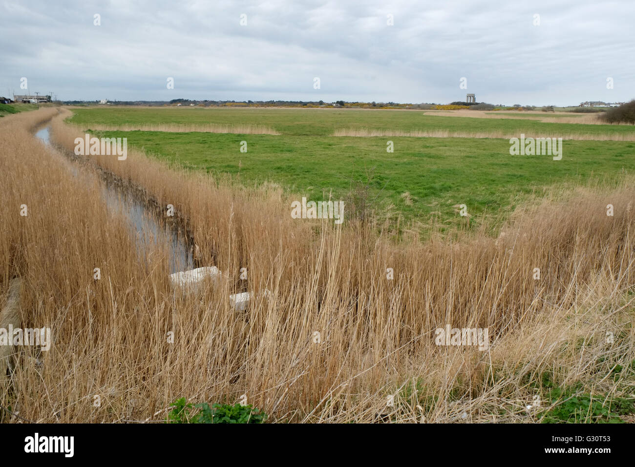 View from tourist favorite Southwold Harbor across the grazing meadows towards Southwold town in eastern Suffolk, England Stock Photo
