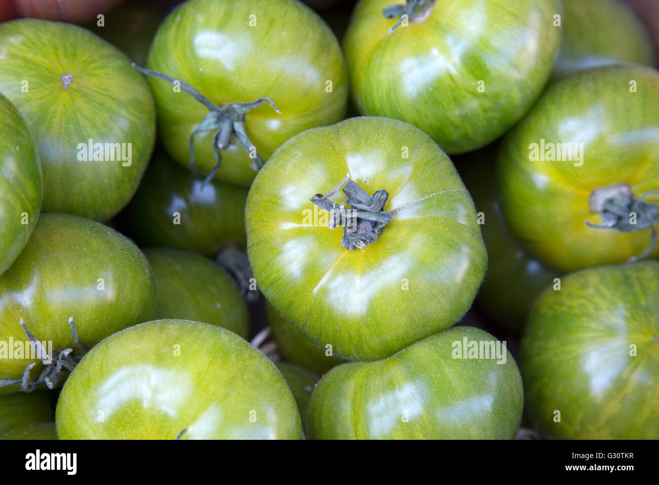 Green Tomato Vegetable Background on Market Stall Stock Photo - Alamy