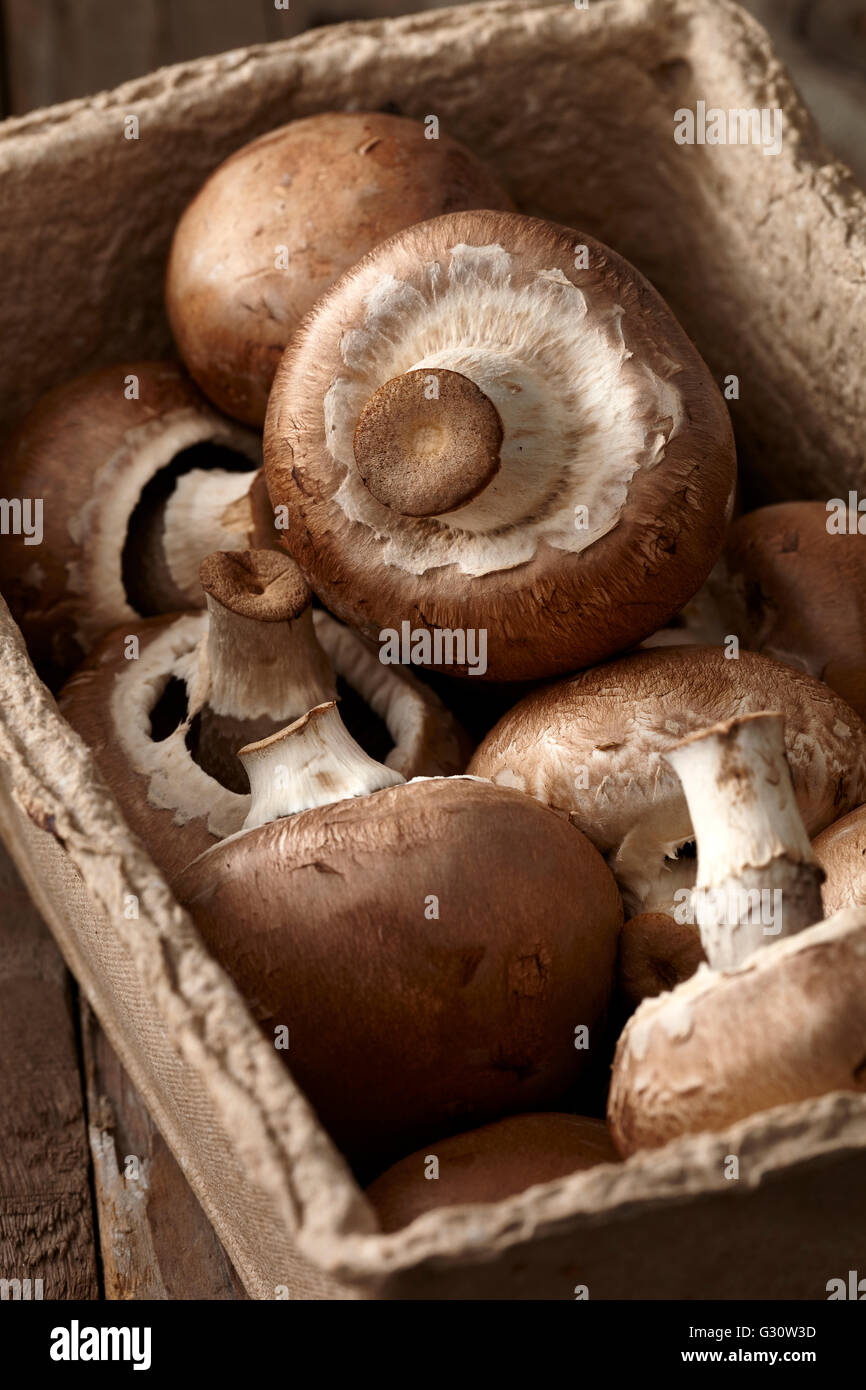 Organic chestnut mushrooms Stock Photo - Alamy