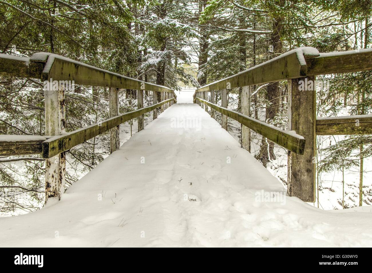 Winter Wonderland. Snow covered wooden bridge through the canopy of a winter forest. Stock Photo