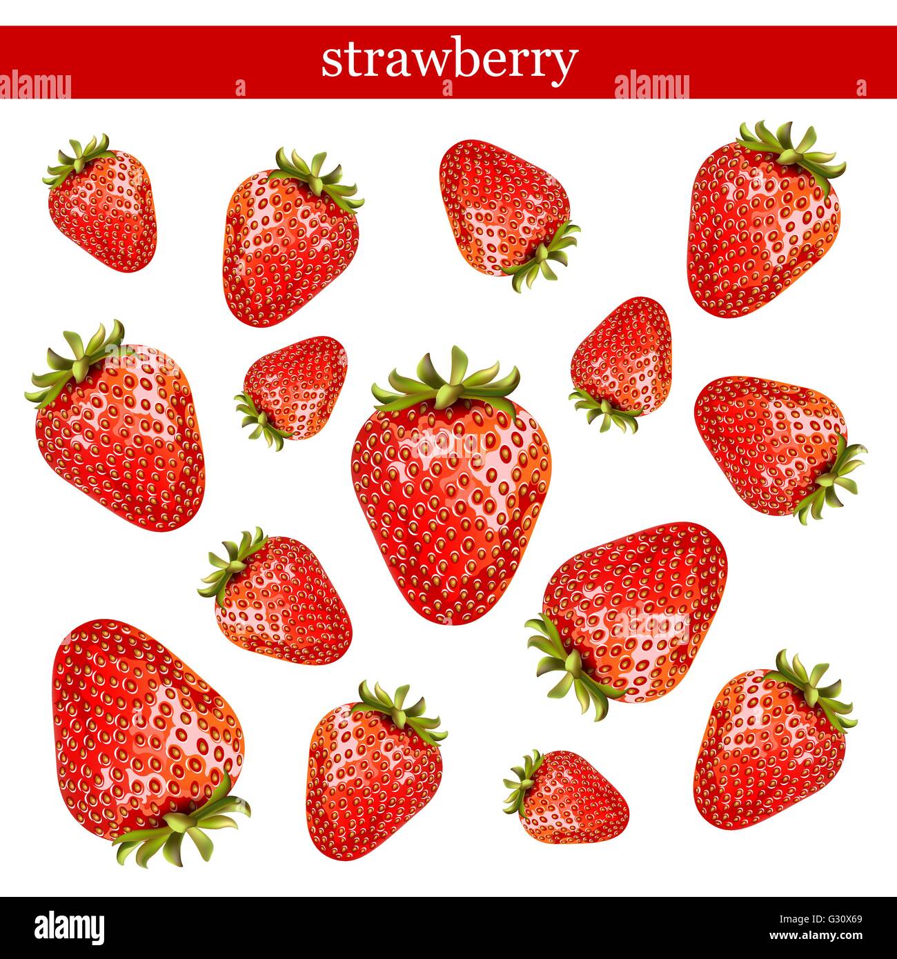 Fresh strawberries isolated on white background Stock Vector Image ...