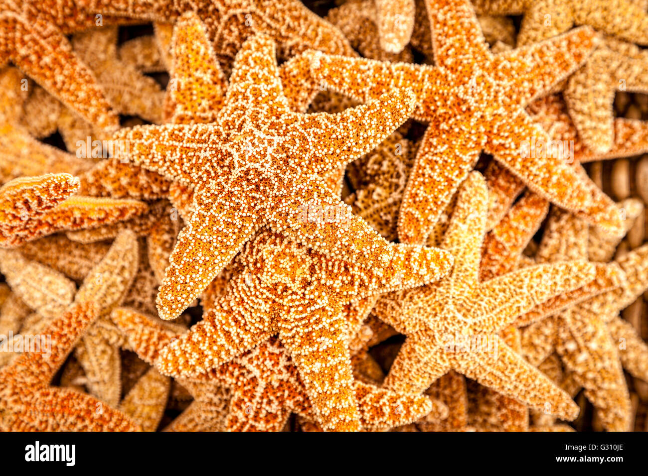 Tropical souvenir hires stock photography and images Alamy