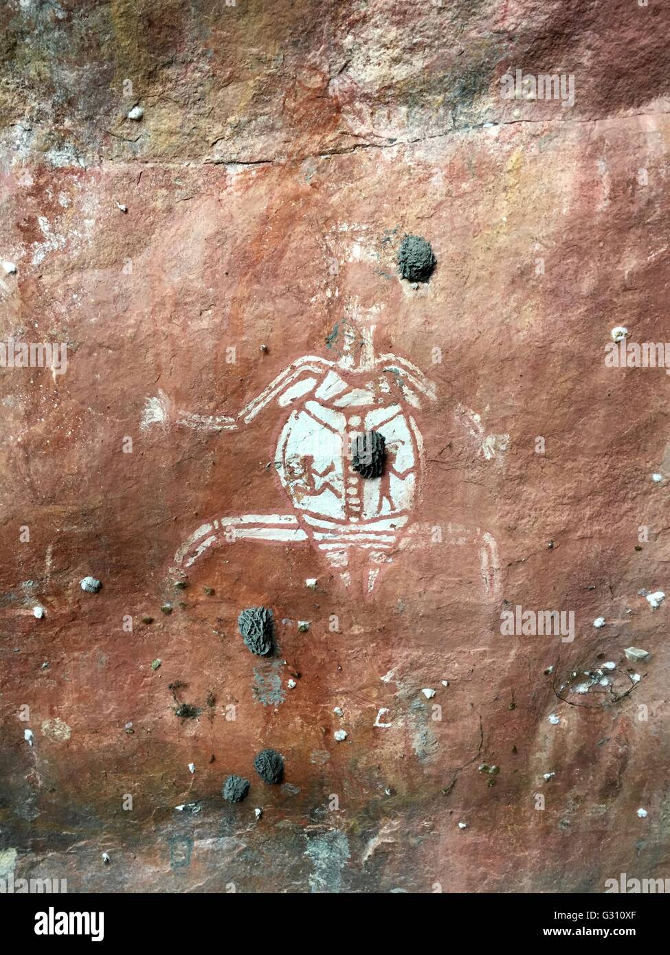 Mud wasp nests on the cave painting known as White Lady Dreaming Site, Kakadu National Park, Northern Territory, Australia Stock Photo