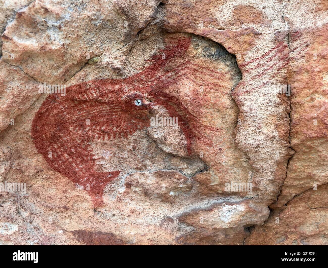 A red prawn painted in a cave known as Shrimp Rock at Hawk Dreaming, Cannon Hill, Kakadu National Park, Australia Stock Photo