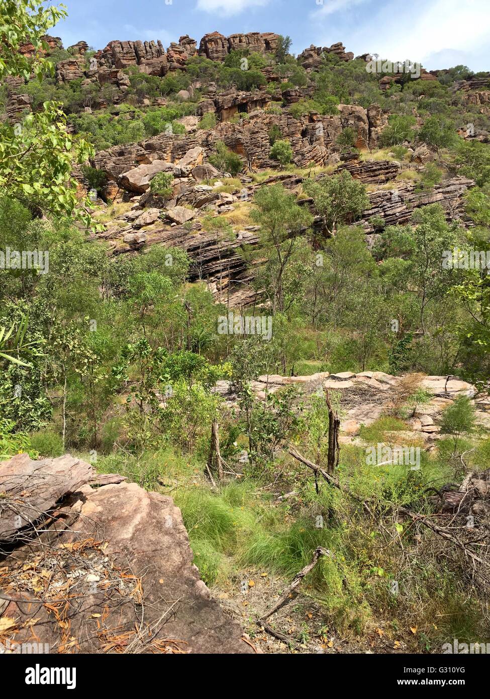 View of 'The Castle' at Gubara, Kakadu National Park, Northern Territory, Australia Stock Photo