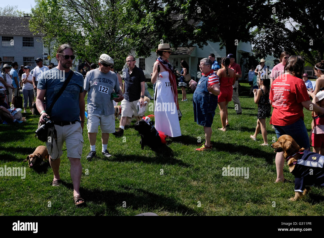 Crowds gathering for awards ceremony at costumed dog parade in Mystic Seaport, CT Stock Photo