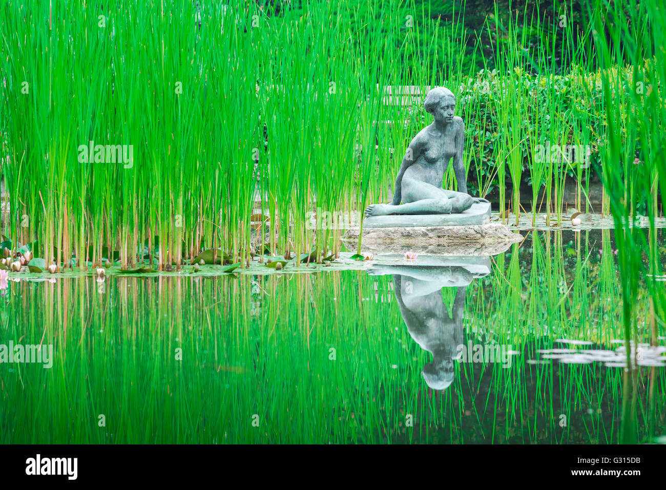 Japanese Nude Girl In Green