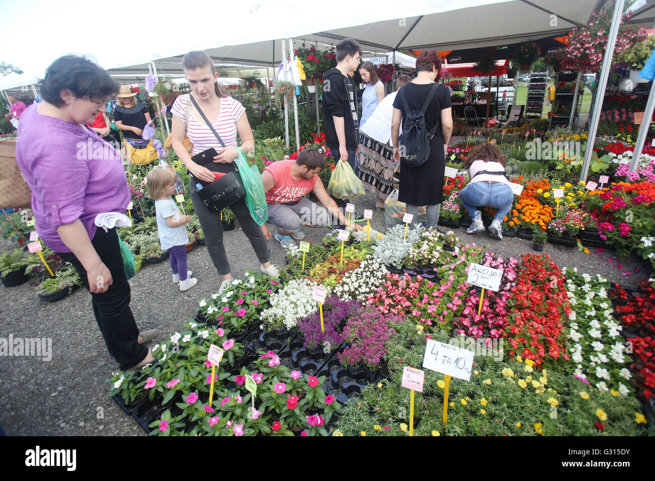 ZAGREB, CROATIA JUNE 3, 2016 People buying flower seedlings at