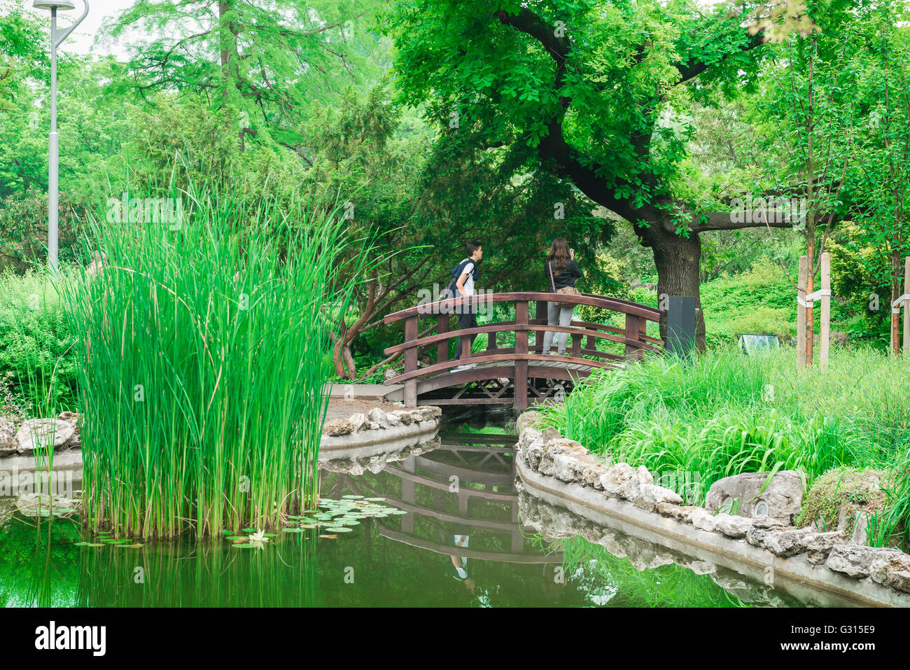 Japanese garden europe, the Japanese Garden on Margitsziget island in