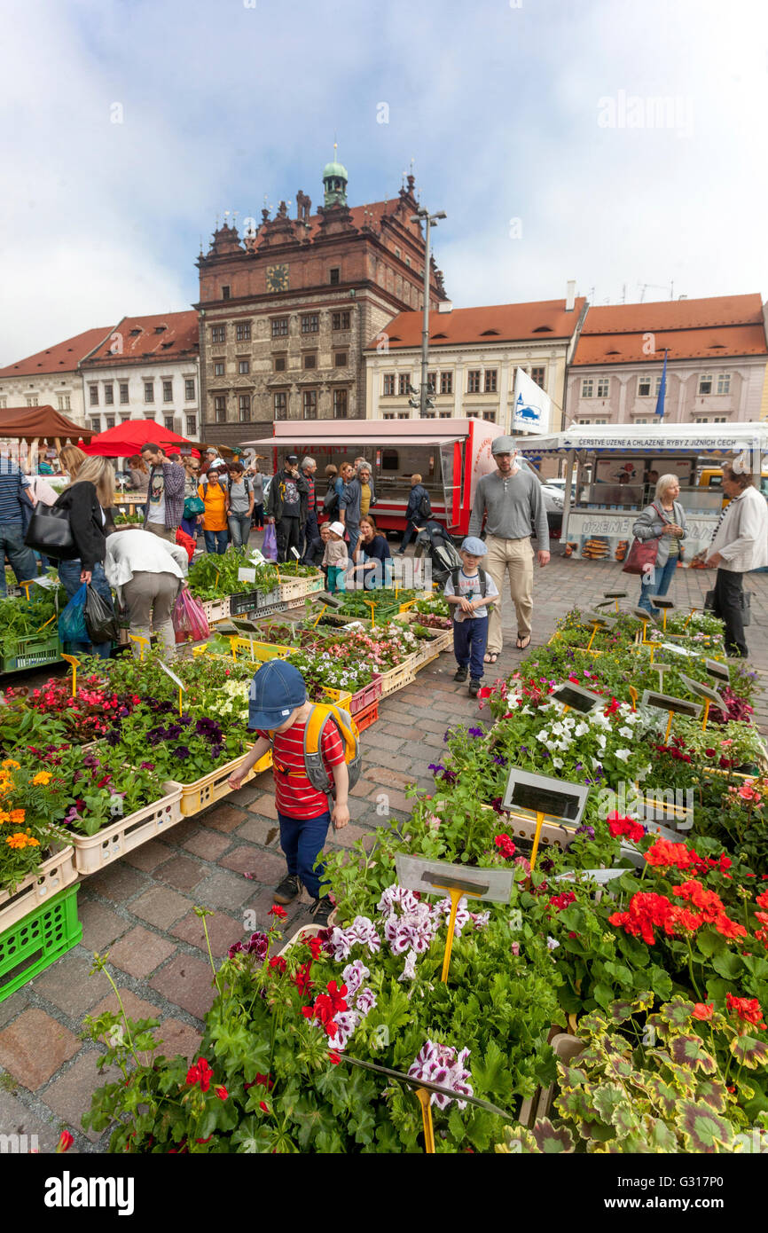 Farmers Market on Republic square, Plzen, Czech Republic, Europe Stock Photo