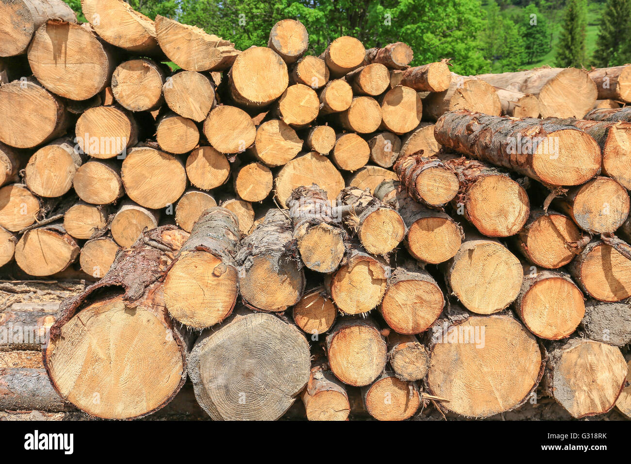 Sliver wood hi-res stock photography and images - Alamy