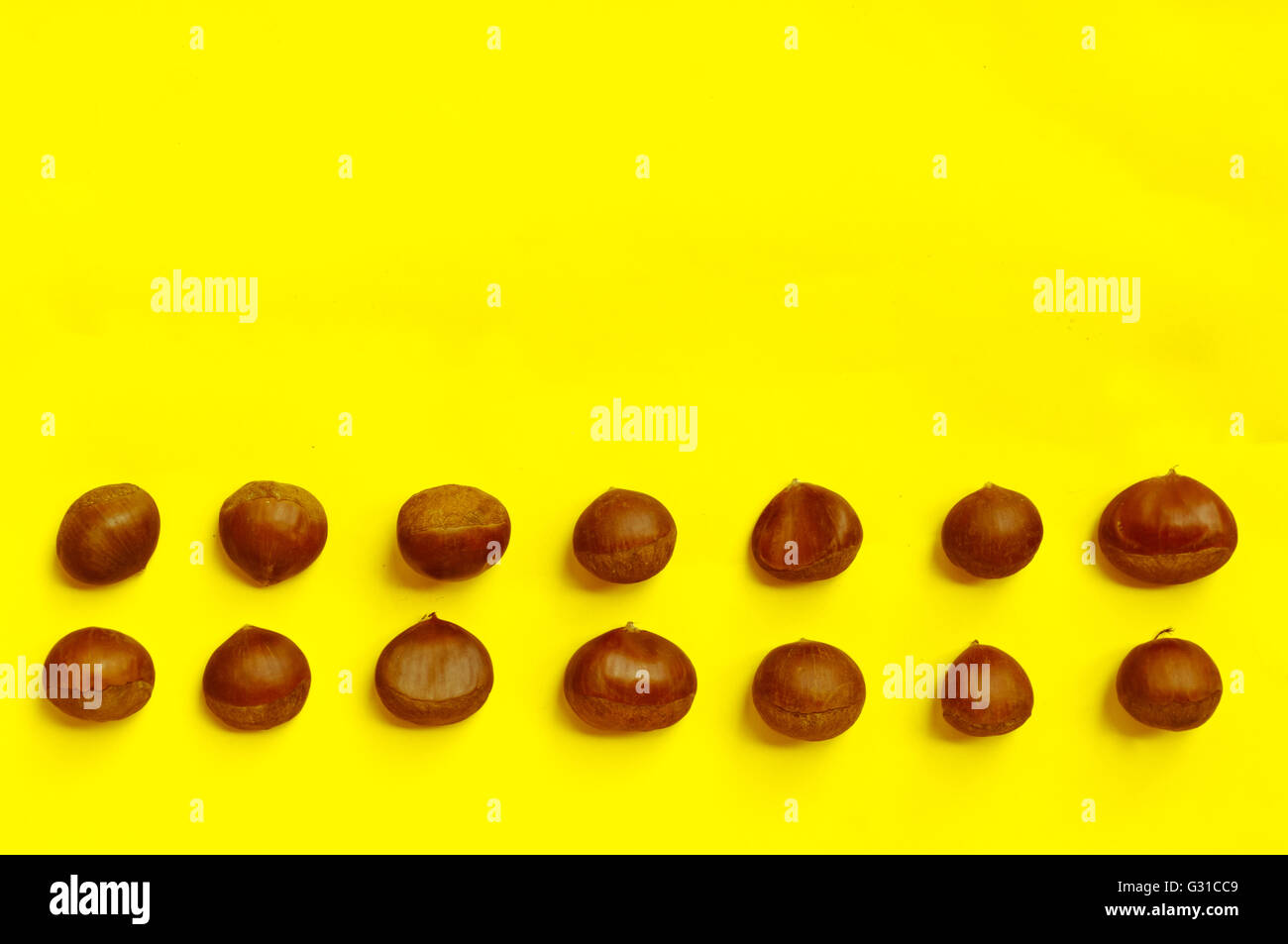 Chestnut pattern on yellow background, top view, horizontal, copy space Stock Photo