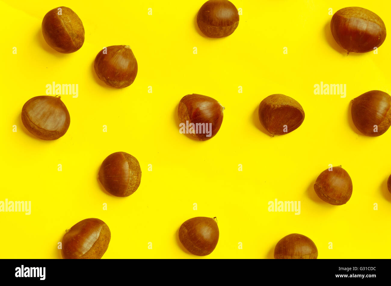 Chestnut pattern on yellow background, top view, horizontal, copy space Stock Photo